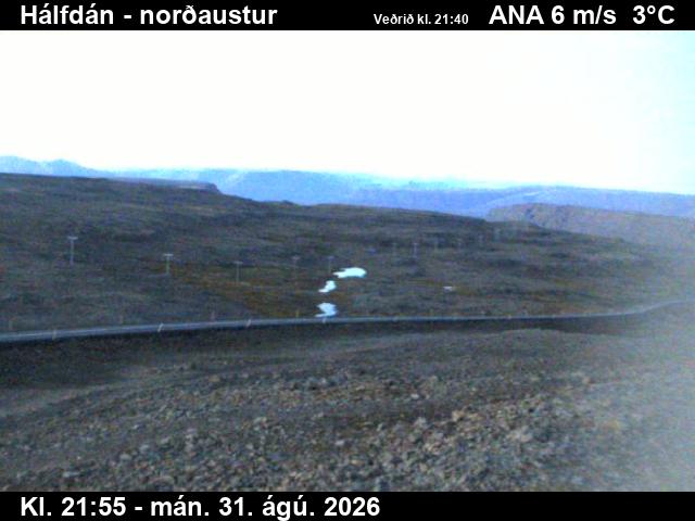 halfdan_3-1788220870.jpg