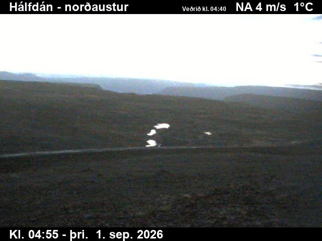 halfdan_3-1788246094.jpg