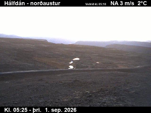halfdan_3-1788247540.jpg