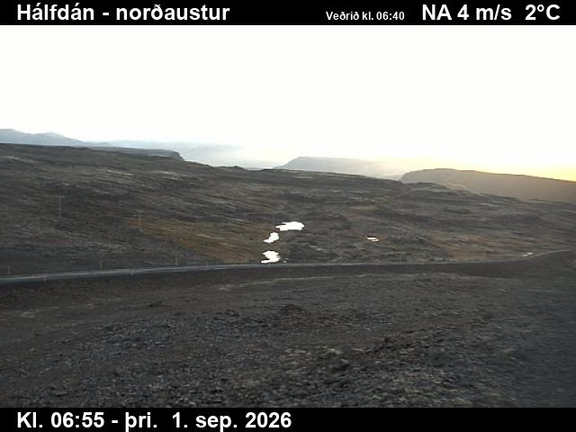 halfdan_3-1788253263.jpg
