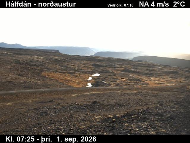 halfdan_3-1788254767.jpg