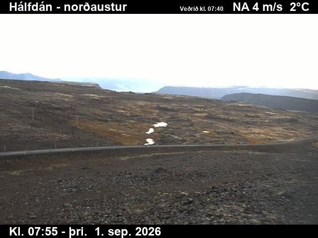 halfdan_3-1788256852.jpg
