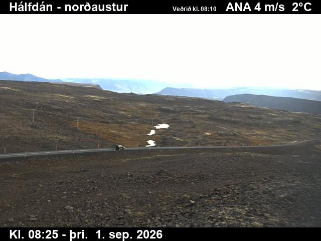 halfdan_3-1788258489.jpg