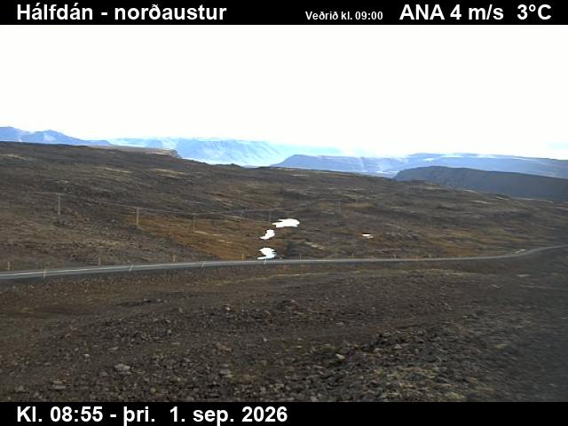 halfdan_3-1788260793.jpg