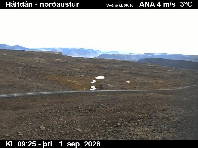 halfdan_3-1788261958.jpg