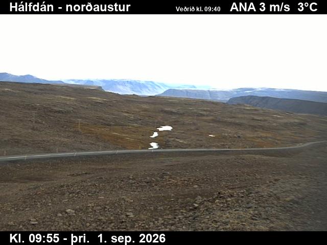 halfdan_3-1788264115.jpg