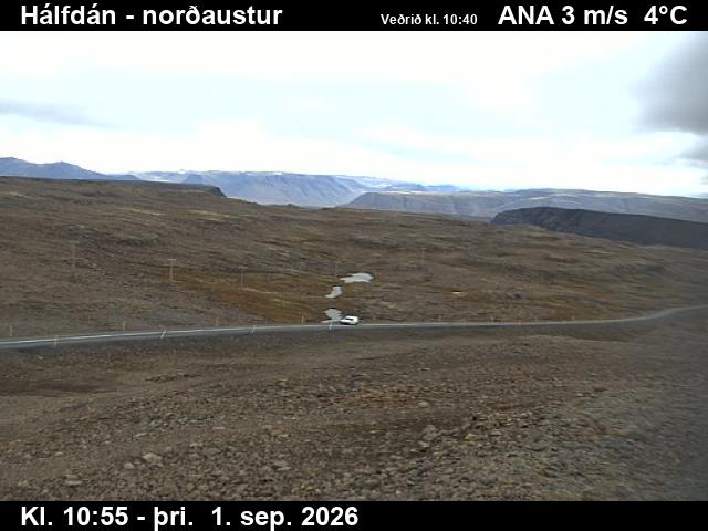 halfdan_3-1788267666.jpg