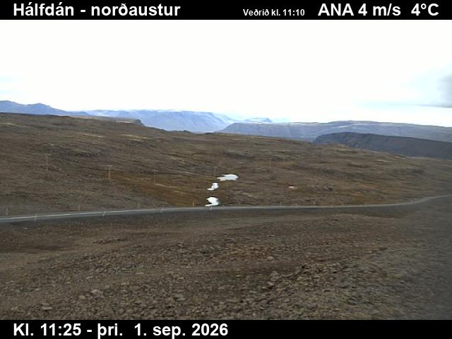 halfdan_3-1788269149.jpg