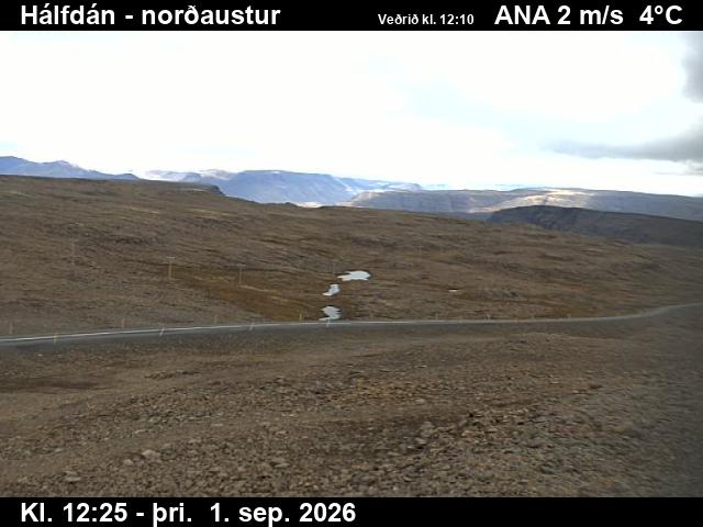 halfdan_3-1788272777.jpg
