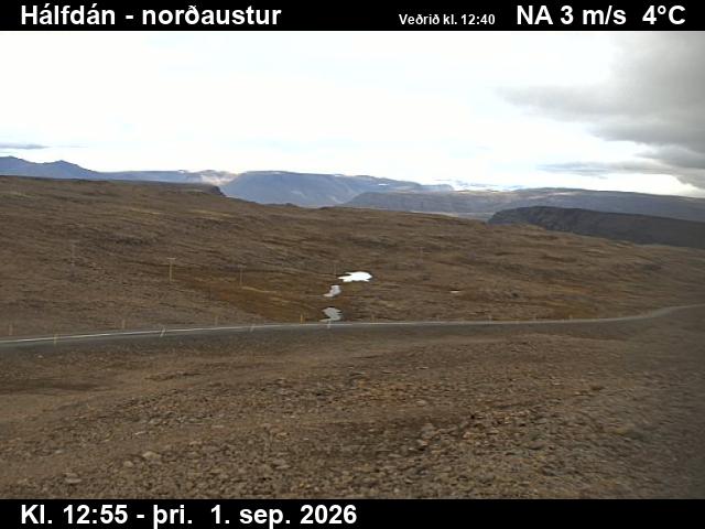 halfdan_3-1788274840.jpg