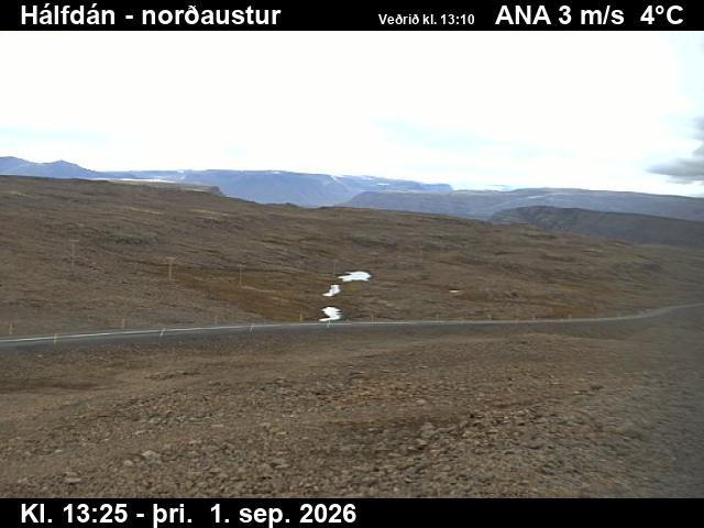 halfdan_3-1788276346.jpg