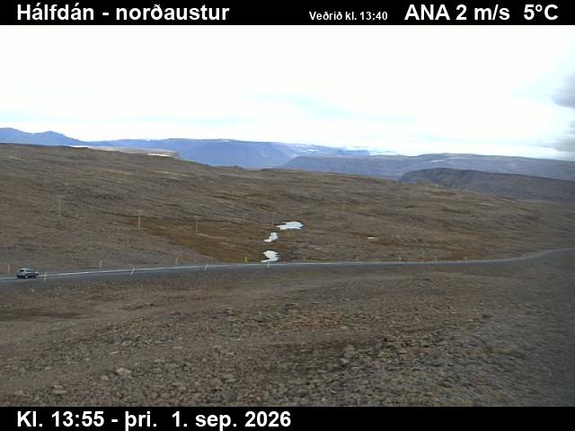halfdan_3-1788278761.jpg