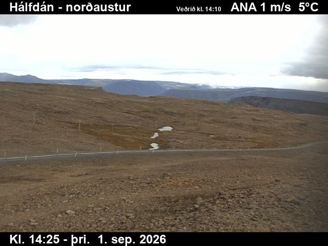 halfdan_3-1788279955.jpg