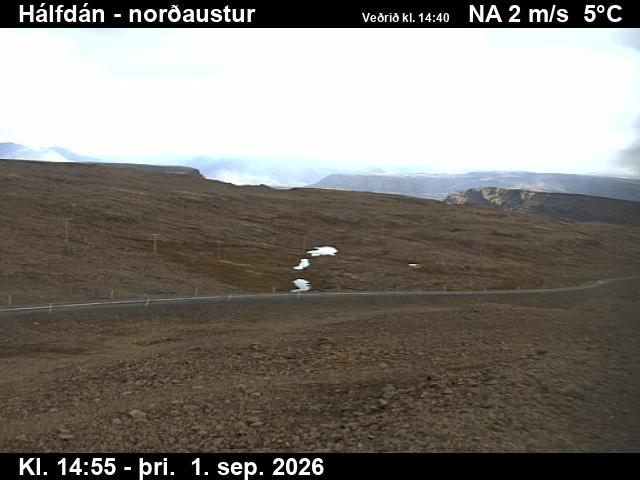 halfdan_3-1788282357.jpg