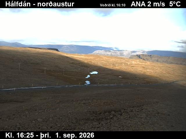 halfdan_3-1788287138.jpg