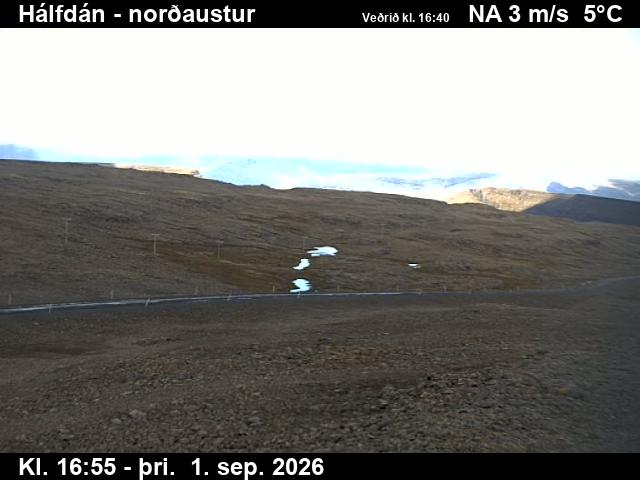 halfdan_3-1788289323.jpg