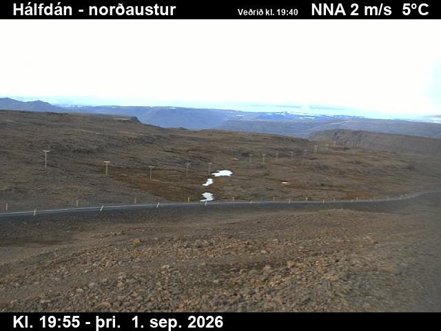 halfdan_3-1788300050.jpg