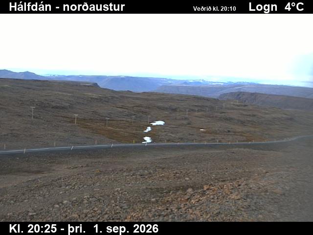 halfdan_3-1788301556.jpg
