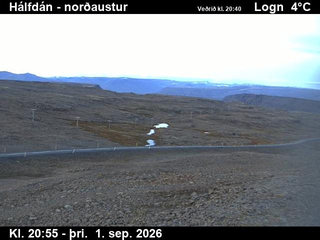 halfdan_3-1788303760.jpg