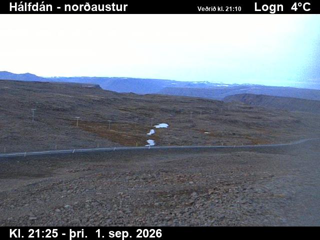 halfdan_3-1788305133.jpg