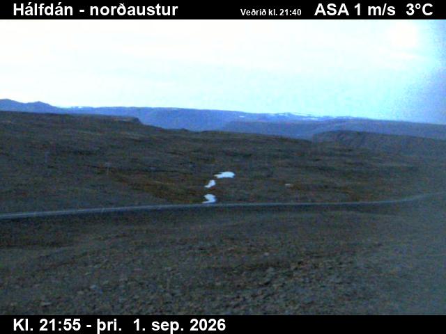 halfdan_3-1788307350.jpg