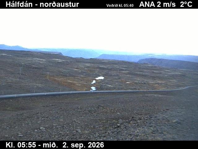 halfdan_3-1788336368.jpg