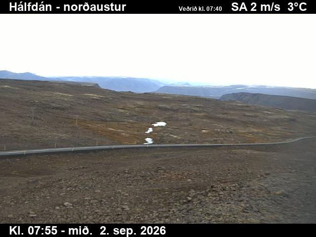 halfdan_3-1788343324.jpg
