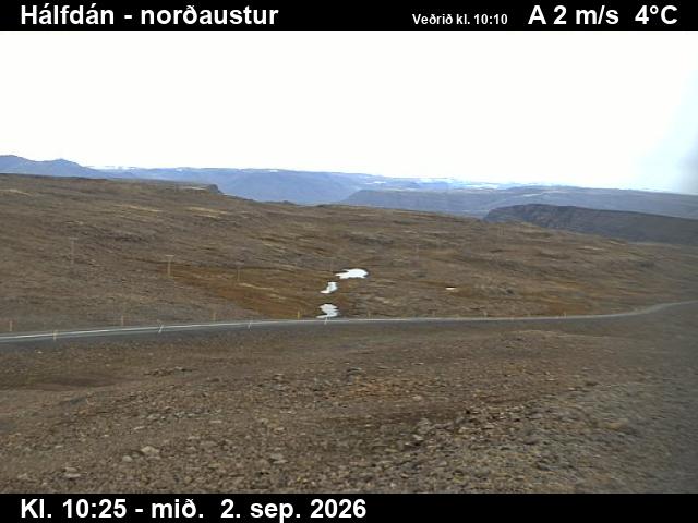 halfdan_3-1788351936.jpg