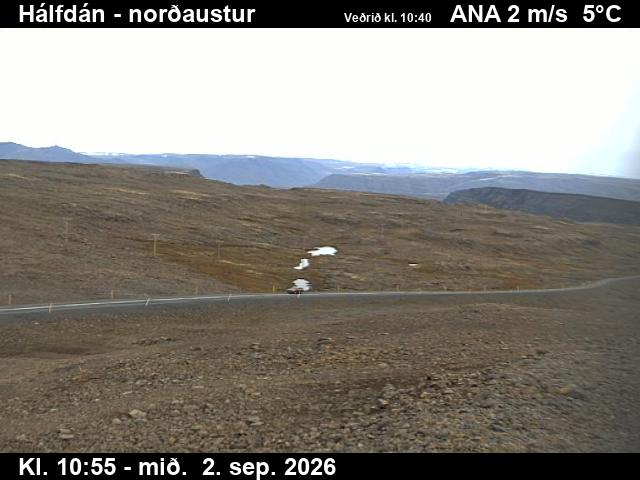 halfdan_3-1788354140.jpg