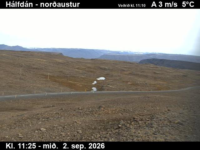 halfdan_3-1788355531.jpg