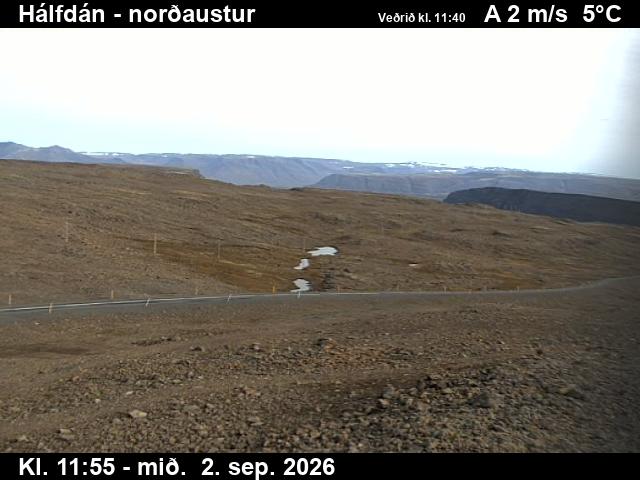 halfdan_3-1788357650.jpg