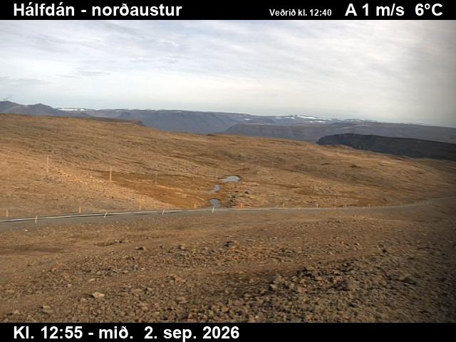 halfdan_3-1788361306.jpg