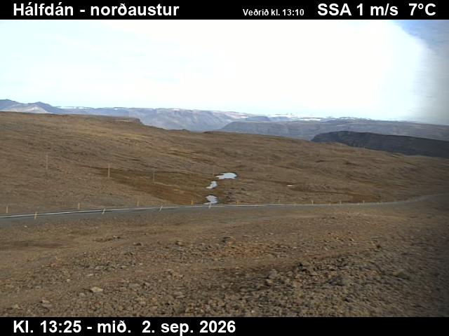 halfdan_3-1788362748.jpg