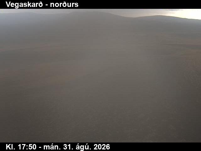 vegaskard_4-1788206531.jpg