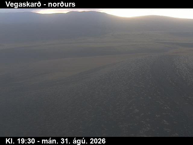 vegaskard_4-1788212269.jpg