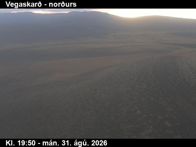 vegaskard_4-1788213685.jpg
