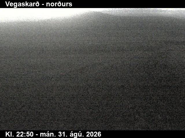 vegaskard_4-1788224491.jpg