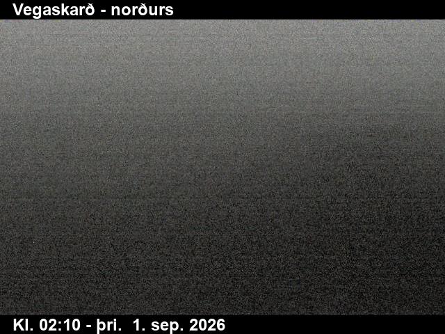 vegaskard_4-1788236809.jpg