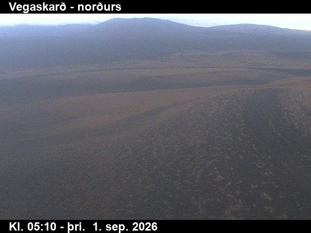 vegaskard_4-1788247539.jpg
