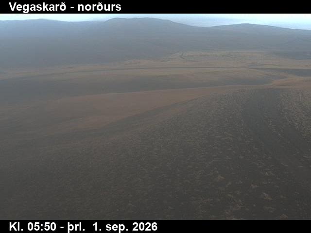 vegaskard_4-1788249969.jpg