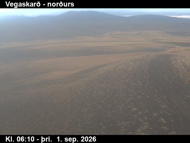 vegaskard_4-1788251144.jpg