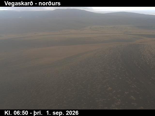 vegaskard_4-1788253299.jpg