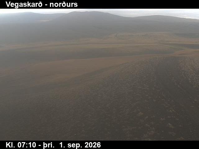 vegaskard_4-1788254790.jpg