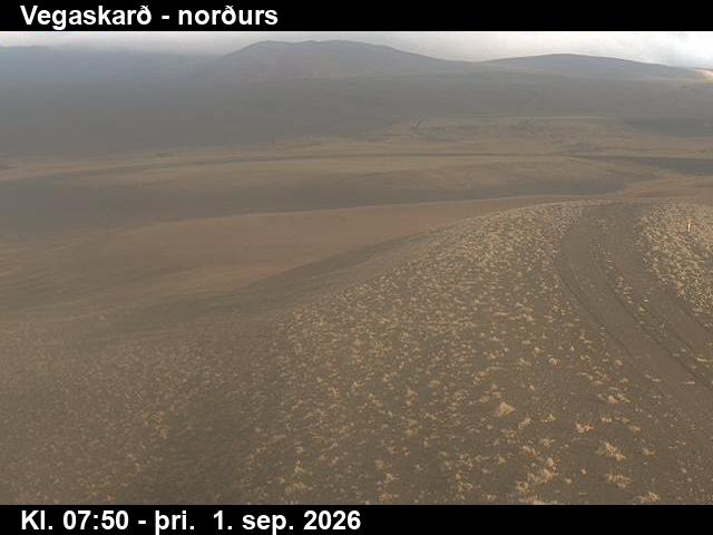 vegaskard_4-1788256900.jpg