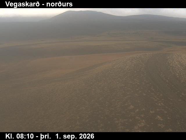 vegaskard_4-1788258490.jpg