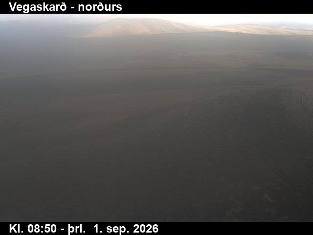 vegaskard_4-1788260578.jpg