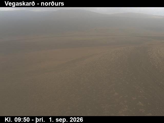 vegaskard_4-1788264116.jpg