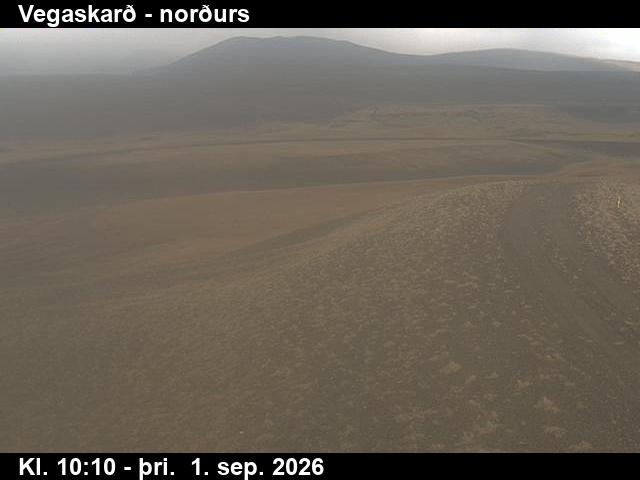 vegaskard_4-1788265579.jpg