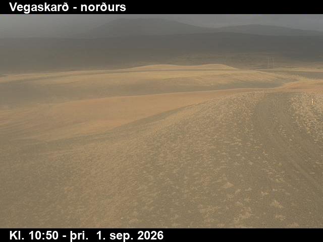vegaskard_4-1788267666.jpg