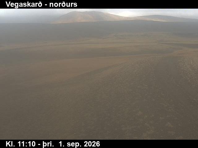 vegaskard_4-1788269127.jpg